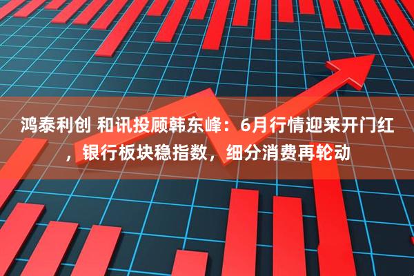 鸿泰利创 和讯投顾韩东峰：6月行情迎来开门红，银行板块稳指数，细分消费再轮动