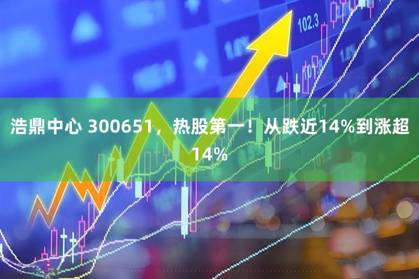 浩鼎中心 300651，热股第一！从跌近14%到涨超14%