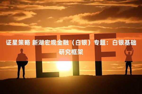 证星策略 新湖宏观金融（白银）专题：白银基础研究框架