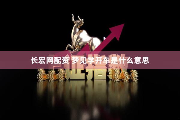 长宏网配资 梦见学开车是什么意思