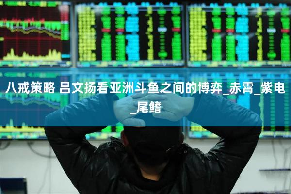 八戒策略 吕文扬看亚洲斗鱼之间的博弈_赤霄_紫电_尾鳍