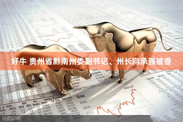 好牛 贵州省黔南州委副书记、州长向承强被查