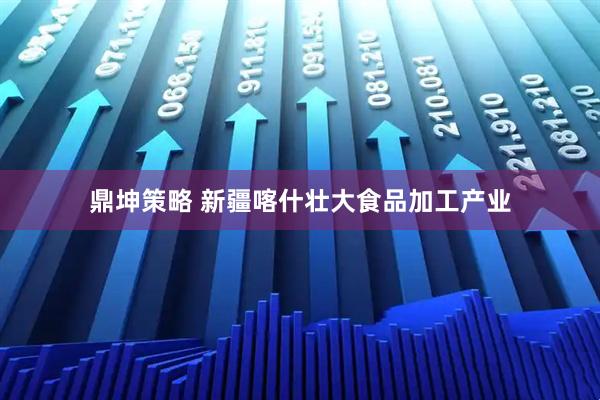 鼎坤策略 新疆喀什壮大食品加工产业