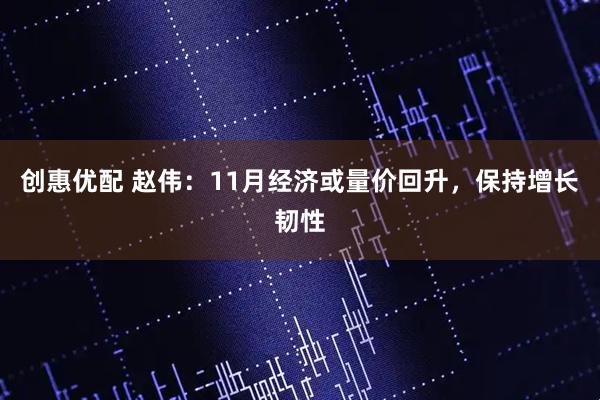 创惠优配 赵伟:11月经济或量价回升,保持增长韧性